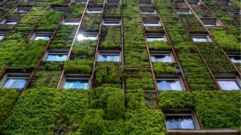 Green building