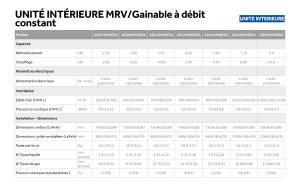 Gainable Debit Constant - MRV - FR